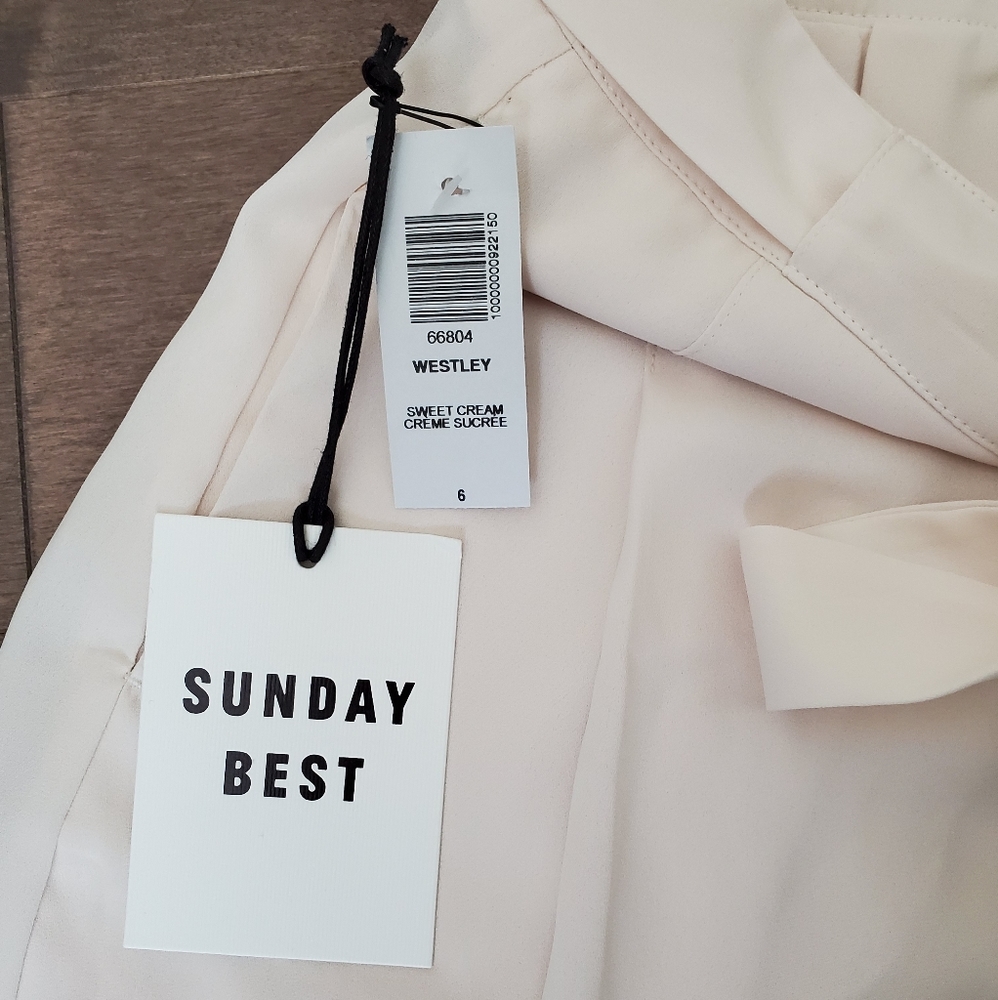 **SOLD**BNWT Aritzia Westley Short (Skort) - Picture 4 of 5